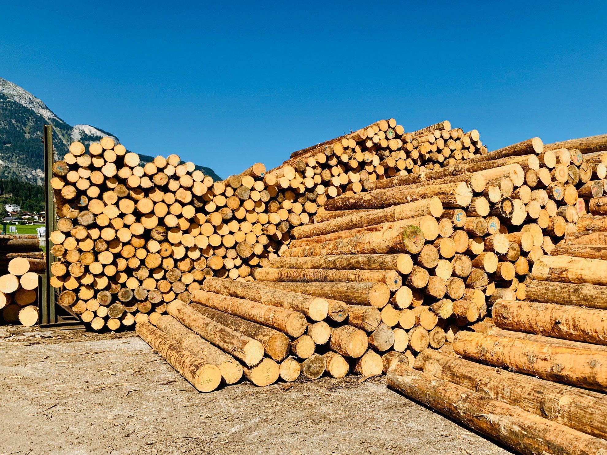 Rohstoffe aus nachhaltig wachsenden heimischen W&auml;ldern