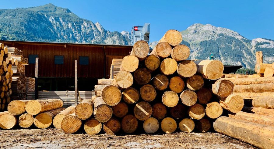 Hechenblaickner-2019-Sagewerk3 Hechenblaickner Holz Wiesing Tirol